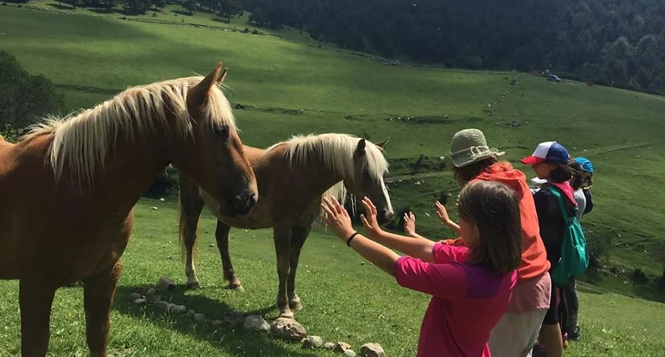 Infants amb una actitud de respecte i admiració, allarguen les mans cap als cavalls en un gest d'aproximació i connexió.